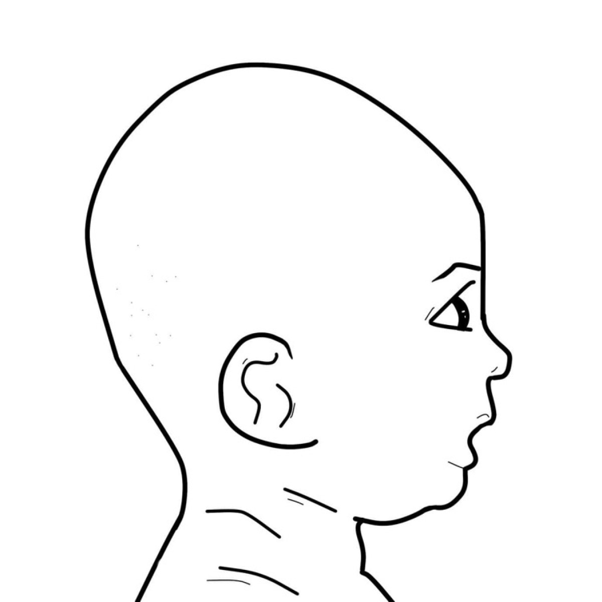 Forma da cabeça em Turicephalia
